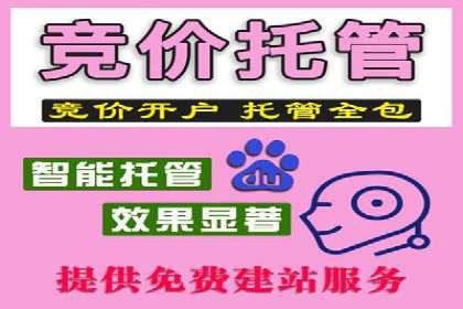 精准投放，高效转化：关键词竞价排名案例解析